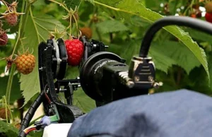 Robocrop zagrozi Polakom na Wyspach