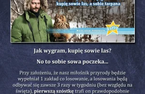 "Na co może liczyć sowa?" czyli sens grania w Lotto