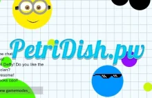Petri Dish - Najlepszy serwer agar