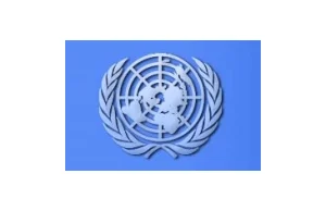 ONZ: Prawa człowieka online są takie same jak offline