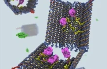 Nanorobot zbudowany Z DNA potrafi zabijać komórki rakowe!