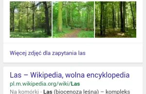 Google cię wysłucha. Google policzy. Google odpowie... po polsku!