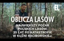 Największy pożar polskich lasów | Oblicza lasów #36