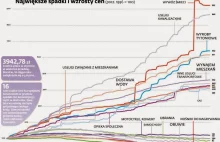 Największe spadki oraz wzrosty cen towarów i usług w Polsce od 1996 roku