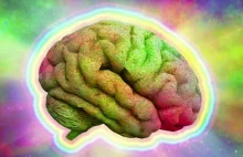 Mózg pod wpływem LSD działa lepiej? Brytyjscy naukowcy to sprawdzili