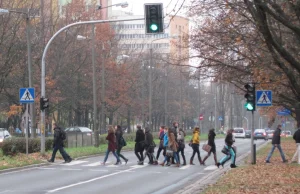 Studentów czerwone światło nie obowiązuje? Po co tyle czekać!