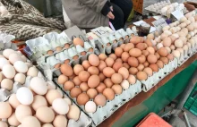 "Wiejskie jaja od szczęśliwych kur". Weterynarz demaskuje typowe oszustwo