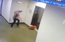 Mężczyzna ratuje psa przed uduszeniem