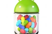 Android 4.1 już dla wszystkich