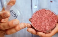 Mięso wyhodowane w laboratorium może trafić do sprzedaży jeszcze w tym roku