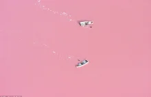 Różowe jezioro w Afryce.