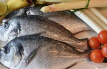 Kopalnia zdrowia czy metali ciężkich? Jakie ryby jeść? | STOP RAKOWI