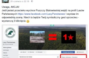 Krytyka Lasów Państwowych – uzasadniona czy nie?