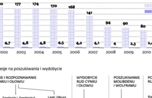 Polska staje się surowcowym "Eldorado"