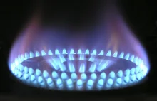 Ceny gazu ostro spadły, ale nie w PGNiG. Wniosek do URE o utrzymanie taryf