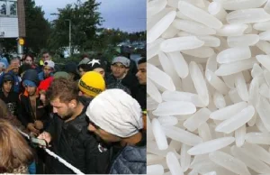 Protest imigrantów w Finlandii: Ryż? Tego nie podaje się nawet psom!