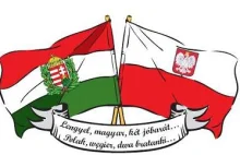 Obronimy Polskę. Wicepremier Węgier po decyzji KE