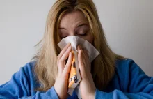 Naukowcy wiedzą już, dlaczego czujesz się nędznie w czasie choroby