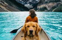 14 zdjęć dowodzących, że pies jest najlepszym kompanem w podróży