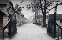 Awantura o Muzeum Auschwitz]: Syn Więźnia: Tato, muszę bronić honoru...