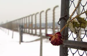 Auschwitz by nie było bez Polski - sami Niemcy by nie dali rady. (BBC) ENG.