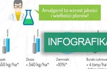 Jak zwiększyć plon Twojej Uprawy? - Infografika rolnika