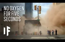 Co by się stało jeśli stracilibyśmy tlen na 5 sekund?