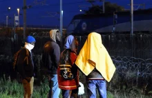 Calais: Uciekinierzy z Afryki coraz bardziej agresywni – demolują płoty...