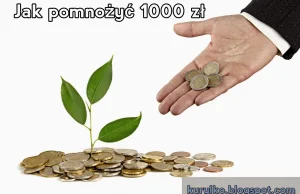 Kurylko Blog: Jak pomnożyć 1000 zł