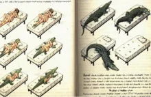 Codex Seraphinianus – najdziwniejsza encyklopedia na świecie