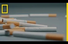 Filtr papierosowy - najbardziej zaśmiecającym plastikowym przedmiotem [eng]