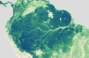 NASA opracowała mapę wysokości lasów na świecie