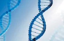 Usuwanie genów i poprawianie DNA - o technologii CRISPR, jej zaletach i wadach