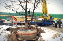 Warszawski deweloper przesadził 29-tonowe drzewo