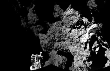 Lądownik Philae wykrył organiczne molekuły na komecie