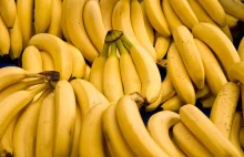 Czarna końcówka banana - śmiertelne zagrożenie czy bananowy spisek?