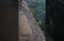 Samobójstwo w wodospadzie Niagara