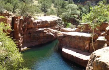 Coconino National Forest