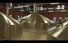 Jak powstaje piwo w Tyskich Browarach Książęcych?