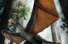 Drapieżny dinozaur ze skrzydłami nietoperza