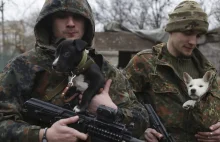 Ukraińcy prowadzą wojnę fatalnie, brakuje im strategii...