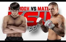 ANZOR AZHIEV vs. VASO BAKOCEVIC WALKA 2015-11-28 KSW 33