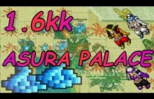 Tibia 130 RP Full Team Hunt Asura Palace 1.6kk/h