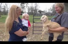 Dziecko Jest naturalnym zaklinaczem kóz