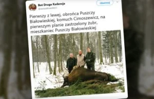 Obrońca Puszczy Białowieskiej przy zwłokach jej mieszkańca