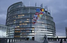 Parliaments of the European Union/Parlamenty w Unii Europejskiej vol II