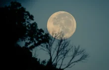 Zaćmienie i pełnia Księżyca jednocześnie. Zjawiskowa noc 10.01.2020.