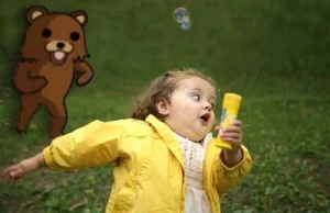 pedo bear chasing
