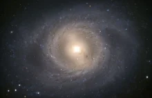 Supernowa w M95, tuż obok Marsa (widoczna na zdjęciach niewielkim teleskopem)