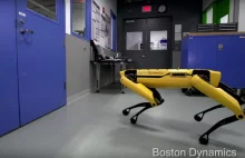 Robot Boston Dynamics niczym pies z Black Mirror
